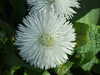 20200423163242-DSCF5080.JPG