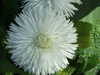 20200423163250-DSCF5081.JPG