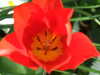 20200423163301-DSCF5082.JPG