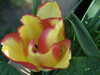 20200423163347-DSCF5083.JPG