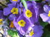 20200423163357-DSCF5084.JPG