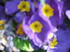 20200423163409-DSCF5085.JPG