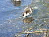 20200423165102-DSCF5090.JPG