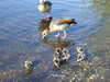 20200423165122-DSCF5093.JPG