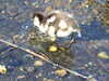 20200423165144-DSCF5096.JPG