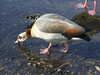20200423165255-DSCF5101.JPG