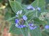 20200423165946-DSCF5102.JPG