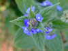 20200423170017-DSCF5104.JPG