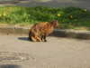20200424154342-DSCN2156.JPG