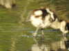 20200424155446-DSCN2160.JPG