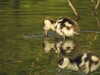 20200424155521-DSCN2163.JPG