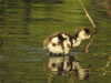 20200424155526-DSCN2164.JPG