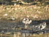 20200424160221-DSCN2175.JPG