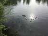 20200429170058-Photo_29-04-2020,_17_00_58.jpg