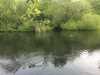 20200429170941-Photo_29-04-2020,_17_09_41.jpg