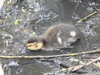 20200430170114-DSCN2188.JPG