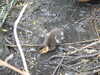20200430170119-DSCN2189.JPG