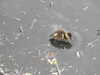 20200430170140-DSCN2192.JPG