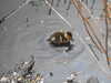 20200430170215-DSCN2196.JPG