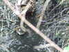 20200430170356-DSCF5110.JPG