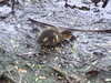 20200430170420-DSCF5111.JPG