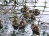 20200430170433-DSCF5112.JPG