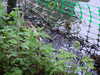 20200430170455-DSCF5115.JPG