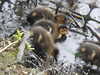 20200430170518-DSCN2201.JPG