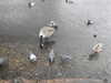 20200430170807-DSCN2206.JPG