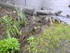 20200430171120-DSCN2208.JPG