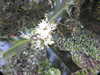 20200504165025-DSCN2210.JPG