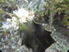 20200504165038-DSCN2211.JPG