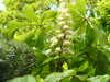 20200504165337-DSCN2212.JPG