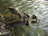 20200504170747-DSCN2215.JPG