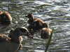20200504170752-DSCN2216.JPG