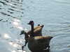 20200504170801-DSCN2217.JPG