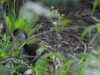 20200504170957-DSCN2224.JPG