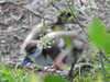 20200504171017-DSCN2225.JPG