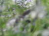 20200504171114-DSCN2227.JPG