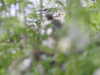 20200504171115-DSCN2228.JPG