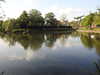 20200504171207-DSCN2231.JPG