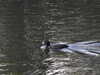 20200504171319-DSCN2234.JPG