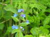 20200504171348-DSCN2235.JPG