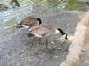 20200504171446-DSCN2236.JPG