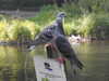 20200504171527-DSCN2237.JPG