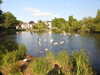 20200504171632-DSCN2239.JPG
