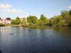20200504171747-DSCN2240.JPG
