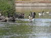 20200504171839-DSCN2243.JPG