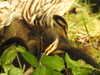 20200504172647-DSCN2246.JPG