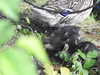 20200504172741-DSCN2248.JPG